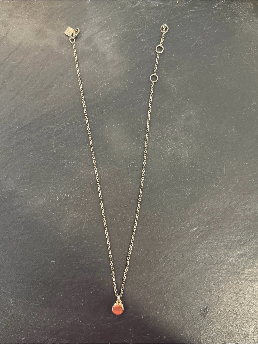 Delicate Gold Chain Necklace with Gold Pendant